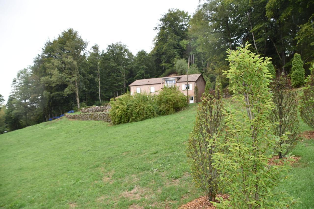 Gite Du Bois Des Hauts Les Mille Etangs La Lanterne-et-les-Armonts Zewnętrze zdjęcie